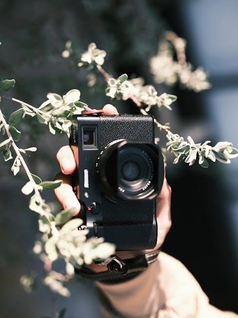 manual mode in camera