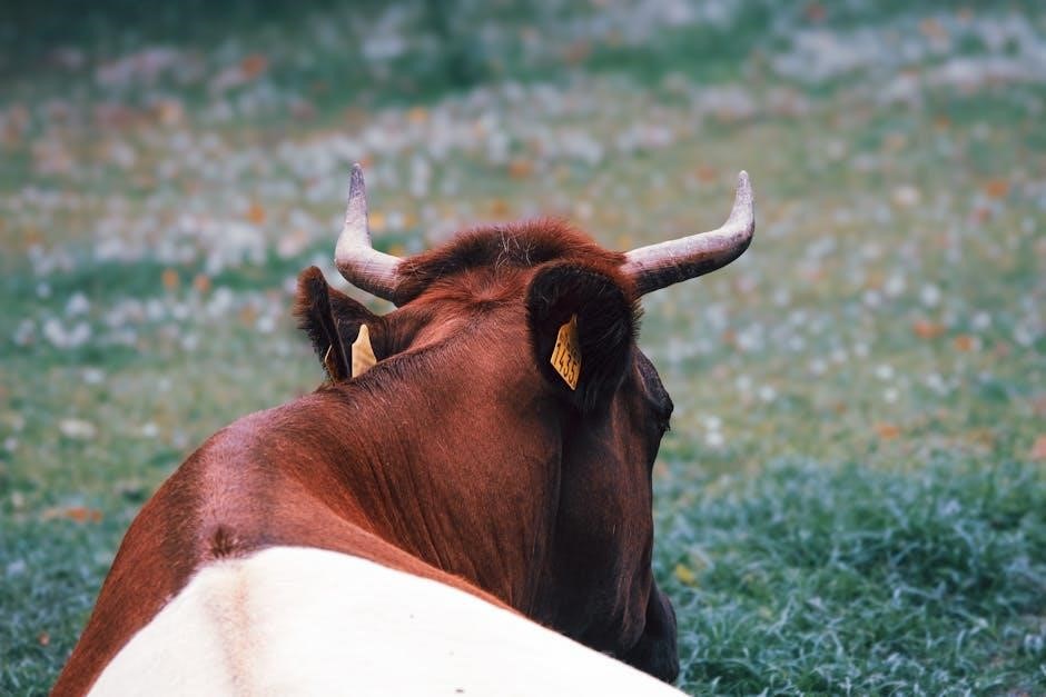 cattle vaccination schedule pdf